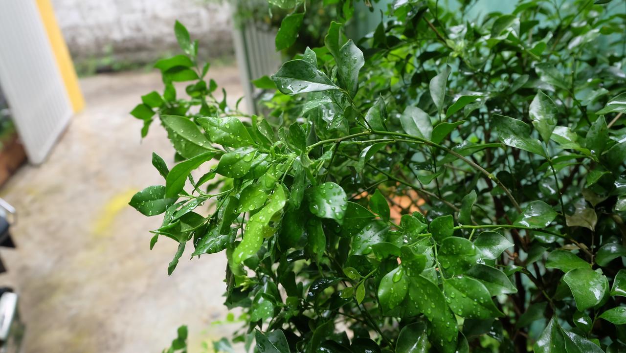 Nha Homestay Ντα Νανγκ Εξωτερικό φωτογραφία
