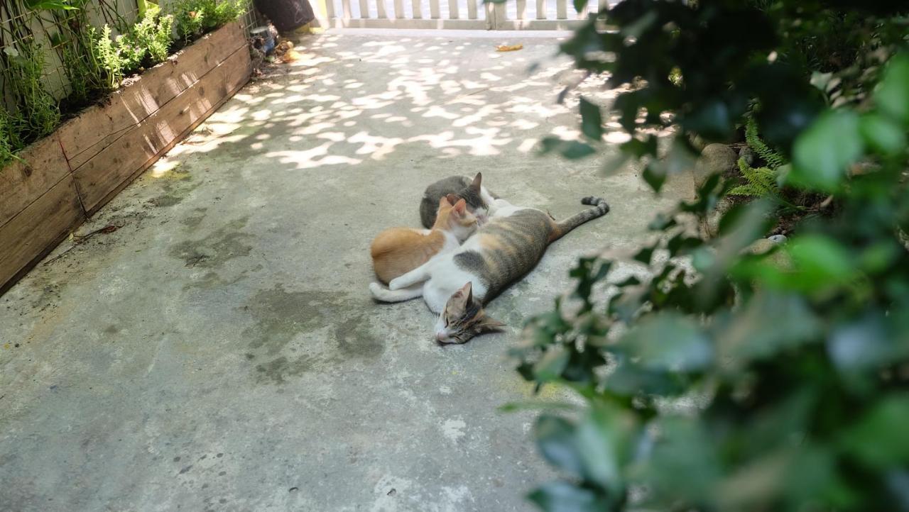 Nha Homestay Ντα Νανγκ Εξωτερικό φωτογραφία