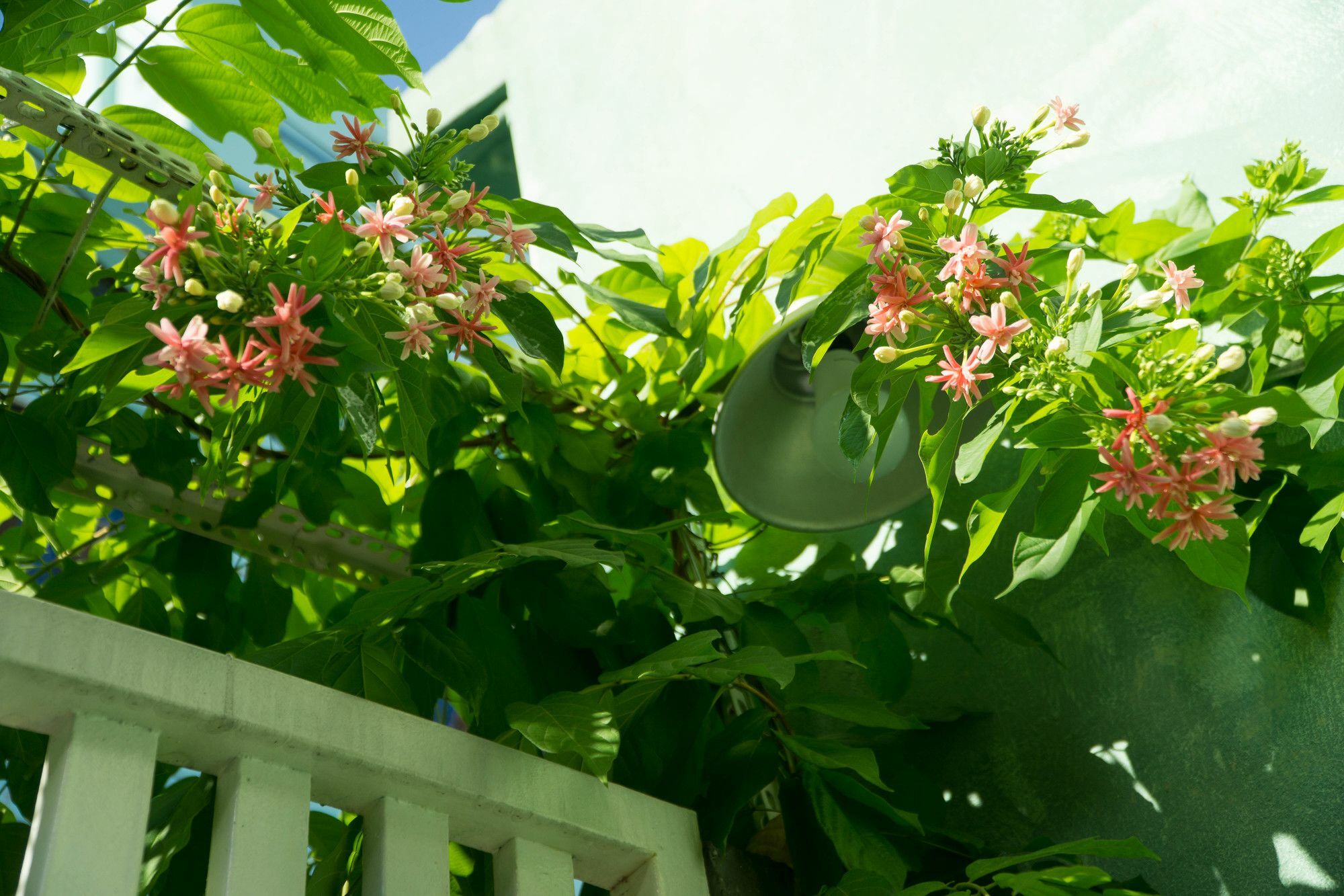 Nha Homestay Ντα Νανγκ Εξωτερικό φωτογραφία
